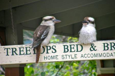 Treetops Bed & Breakfast Blackburn Exterior foto