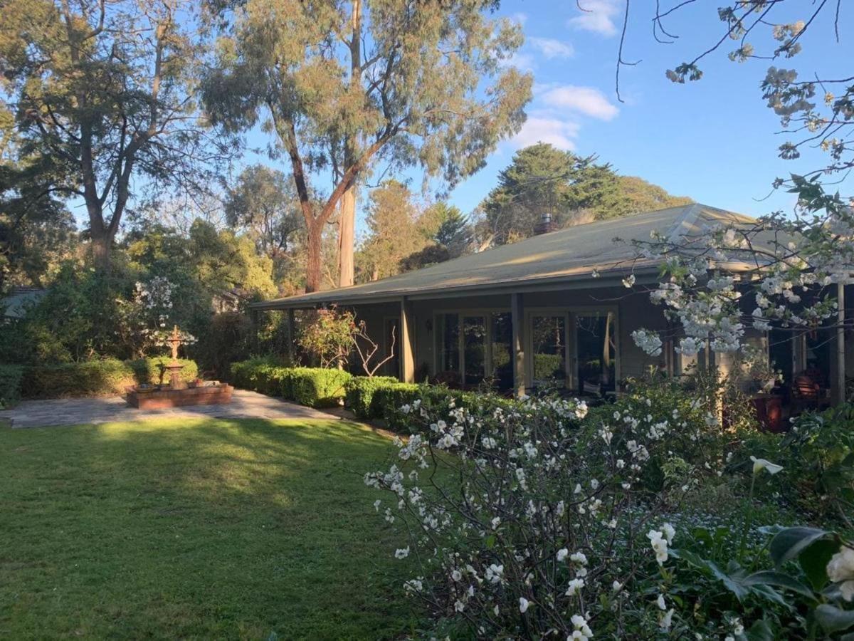 Treetops Bed & Breakfast Blackburn Exterior foto
